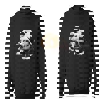 パンダ 面白いtシャツ メンズ 動物 グッズ おもしろ 面白い 服 ネタ 動物 珍獣 熊猫 スウェットシャツ - Kawaiitshirt