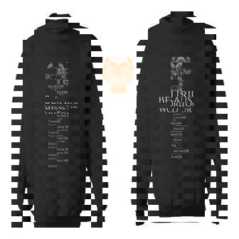 ビザンチンの歴史 ベリサリウスワールドツアー 中世小説 スウェットシャツ - Kawaiitshirt