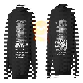 ベアラバーブラシファニーベア スウェットシャツ - Kawaiitshirt