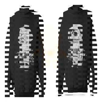 マルチーズドッグ筋トレ バーベルシュラッグバー フィットネス スウェットシャツ - Kawaiitshirt
