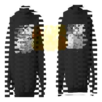 モルモット愛好家のためのモルモット。 スウェットシャツ - Kawaiitshirt