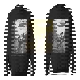 ヴィンテージ ヒップスター レトロ Hip Hop Uap ストリートウェア エイリアン 面白い Ufo ラクーン スウェットシャツ - Kawaiitshirt