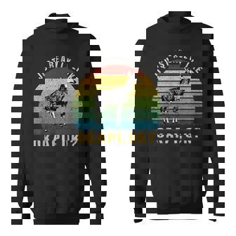 ヴィンテージレトロオカピ動物tシャツ I Just Really Like Okapi Ok スウェットシャツ - Kawaiitshirt