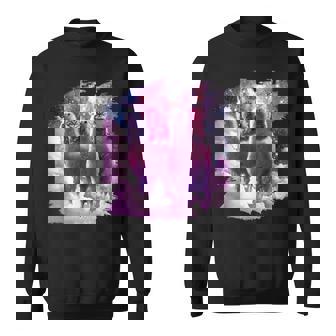 宇宙で虹色のラマに乗る子猫 スウェットシャツ - Kawaiitshirt