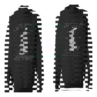 実は俺のシステムバニーのウサギは神経質な不安 スウェットシャツ - Kawaiitshirt