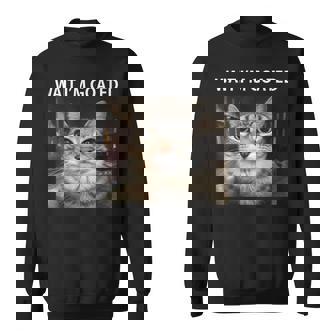 待ってよヤギの愚かな猫のミーム スウェットシャツ - Kawaiitshirt