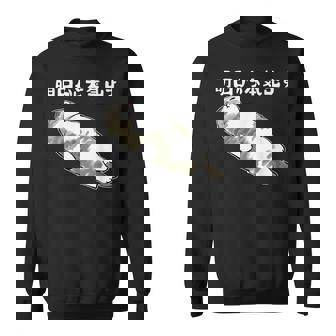 明日から本気出す 面白い猫のことわざ スウェットシャツ - Kawaiitshirt