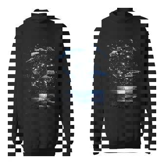 星座イルカ、天体宇宙銀河イルカ スウェットシャツ - Kawaiitshirt