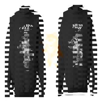 柴犬 筋トレ ダンベル付き フィットネスジム スウェットシャツ - Kawaiitshirt