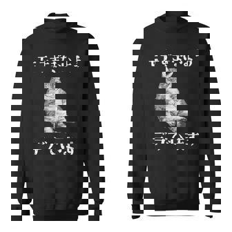 猫 モテるデブ 面白いtシャツ 文字入り メンズ おもしろ 面白い 服 オリジナル おもしろグッズ 文字 スウェットシャツ - Kawaiitshirt