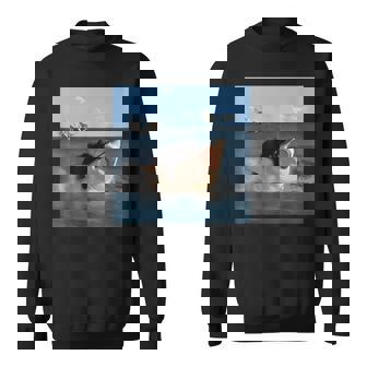 猫を噛むサメの面白いアートと猫好きの面白い猫とサメ。 スウェットシャツ - Kawaiitshirt