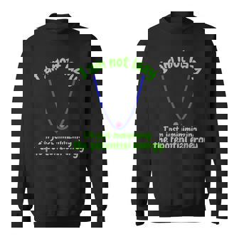 私は怠け者じゃなくて、ポテンシャルエネルギーを最小化しているだけです、おかしい スウェットシャツ - Kawaiitshirt