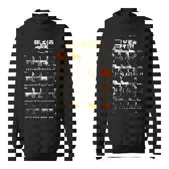 競馬 馬tシャツ 馬の種類 おもしろ ウマ レース 馬 乗馬 競馬 面白いtシャツ メンズ グッズ ネタ 大人 男性 スウェットシャツ - Kawaiitshirt