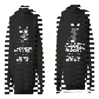 面白い 猫 文字入り 「その笑顔に騙される。」おもしろギャグ-ジョーク 漢字 その笑顔に騙される。 スウェットシャツ - Kawaiitshirt