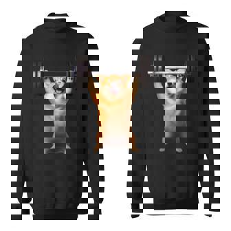 面白いtシャツ コーギー 犬 イヌ わんこ メンズ 犬好き グッズ かわいい 面白い 服 ネタ 筋トレ スウェットシャツ - Kawaiitshirt