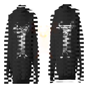 面白いtシャツ シュナウザー 犬 イヌ わんこ メンズ 犬好き グッズ かわいい 面白い 服 ネタ 筋トレ スウェットシャツ - Kawaiitshirt