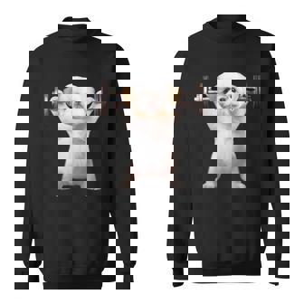 面白いtシャツ シーズー 犬 イヌ わんこ メンズ 犬好き グッズ かわいい 面白い 服 ネタ 筋トレ スウェットシャツ - Kawaiitshirt