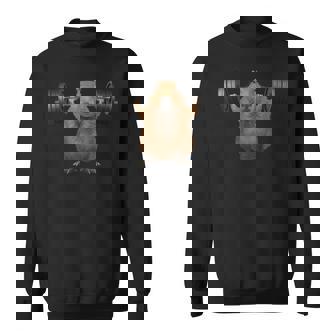 面白い動物 カピバラ げっ歯類 ウエイトリフティング フィットネスジム スウェットシャツ - Kawaiitshirt