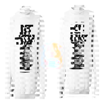 Café Pour Cochon D'inde Pas Aujourd'hui Cochon D'inde Sweater e - Cadeauxyz