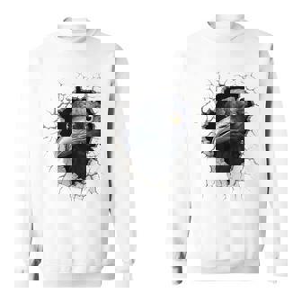 Cuervo Animal Print Gráfico Dibujo Arte Cara Cuervo Camisa de entrenamiento - Regaloses