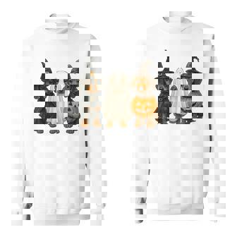 Dachshund Halloween Wiener Dog Pumpkin Weenie Witch Sweatshirt - Thegiftio