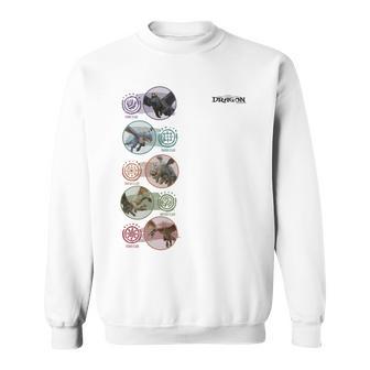 Dreamworks Dragons Class Types Sweatshirt - Thegiftio UK