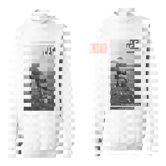 Life Picture Collection 馬と猫（1） スウェットシャツ - Kawaiitshirt