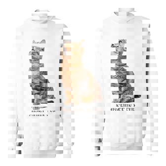 Mischief In Fur 猫写真 キジトラ 猫好き ネタ 猫しもべ 猫飼い 猫依存症 猫オーナー スウェットシャツ - Kawaiitshirt