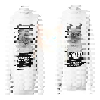 Most Wanted ラグドール ラグドール 猫 スウェットシャツ - Kawaiitshirt