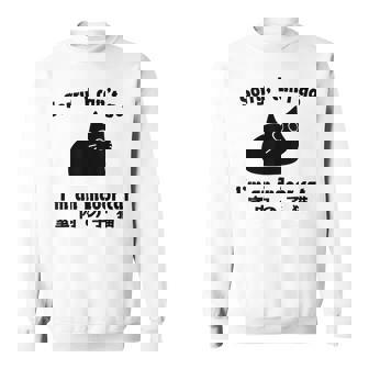 Sorry I Can’T Go I’M An Indoor Cat Indoor Kitten Sweatshirt | Mazezy