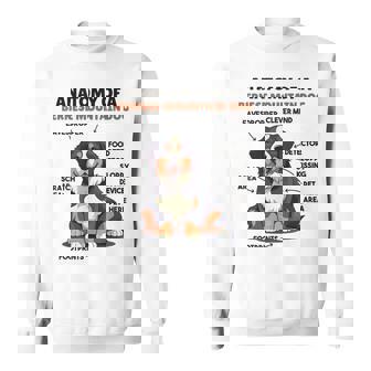 かわいい犬の説明 バーニーズ・マウンテン・ドッグの解剖学 スウェットシャツ - Kawaiitshirt