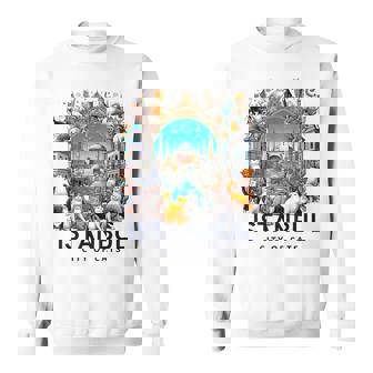 イスタンブール、トルコ 猫の街 Istanbul Turkey City Of Cats スウェットシャツ - Kawaiitshirt