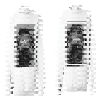 キッズ Artlist Collection The Dog ラブラドール・レトリーバー （キッズ） スウェットシャツ - Kawaiitshirt