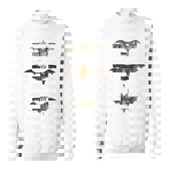 コウモリ 科学イラスト 描画 生物学 アート ハロウィン スウェットシャツ - Kawaiitshirt