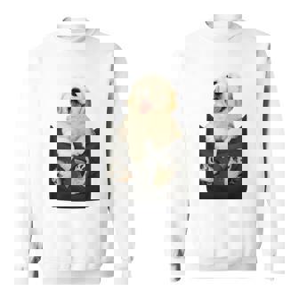 ゴールデンレトリバー ポケットに入った子犬 長袖tシャツ スウェットシャツ - Kawaiitshirt