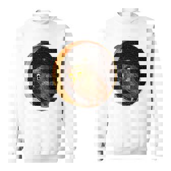 ヒエロニムス ボッシュ フクロウ 大喜びの庭 スウェットシャツ - Kawaiitshirt