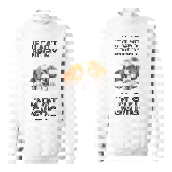 ブリタニー・スパニエル犬を連れて行けないなら行かない スウェットシャツ - Kawaiitshirt