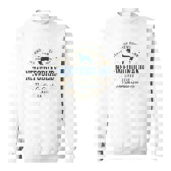 ヴィンテージ ニューファンドランド レトロ スウェットシャツ - Kawaiitshirt