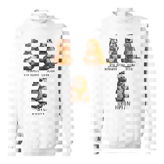 異なるタイプのビーバーズ品種コレクション、かわいいビーバーが大好き。 長袖tシャツ スウェットシャツ - Kawaiitshirt