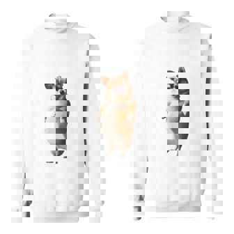 面白いtシャツ チワワ 犬 わがままボディ イヌ わんこ メンズ 犬好き グッズ おもしろ 面白い 服 ネタ 長袖tシャツ スウェットシャツ - Kawaiitshirt