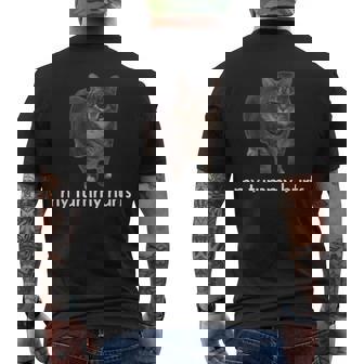 お腹が痛い面白いオイイア・オイア・キャット・ミーム メンズTシャツ バックプリント - Kawaiitshirt