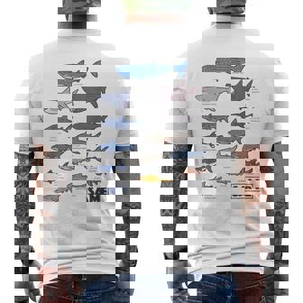 サメ図鑑 メンズTシャツ バックプリント - Kawaiitshirt