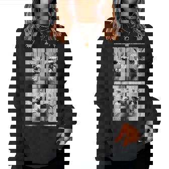 Llamas With Sunglasses Cool Llama Animals Photo Booth Women Sweatshirt - Thegiftio