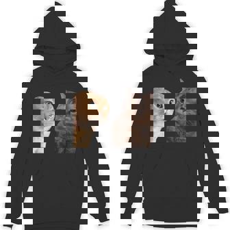 2匹の猫がミームを話す 長袖tシャツ パーカー - Kawaiitshirt