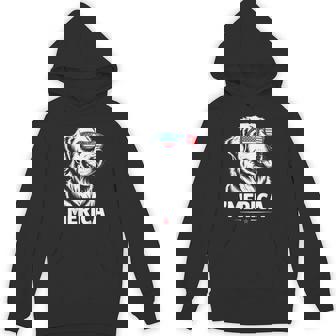 American Flag Patriotic Golden Retriever 4Th Of July America Hoodie - Monsterry