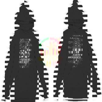 American Grown African Usa Flag Black History Month Hoodie - Monsterry