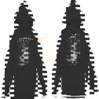 Feral But Free Raccoon 4Th Of July Trash-Panda Retro Hoodie - Thegiftio