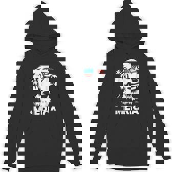 Golden Retriever Dog 4Th Of July Merica Hoodie - Monsterry