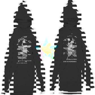 Gulf Of Mexico Turtle Salty Resist Hoodie | Mazezy