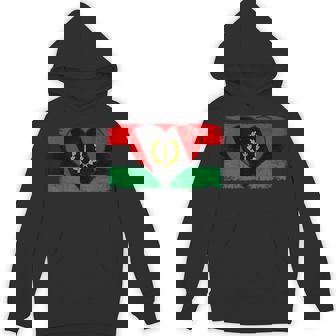 Heritage Black African American Flag 1967 Hoodie - Thegiftio UK